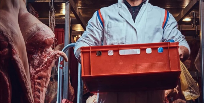 FAO: Nederlands vlees kan bijdragen aan oplossing voor wereldwijd voedseltekort
