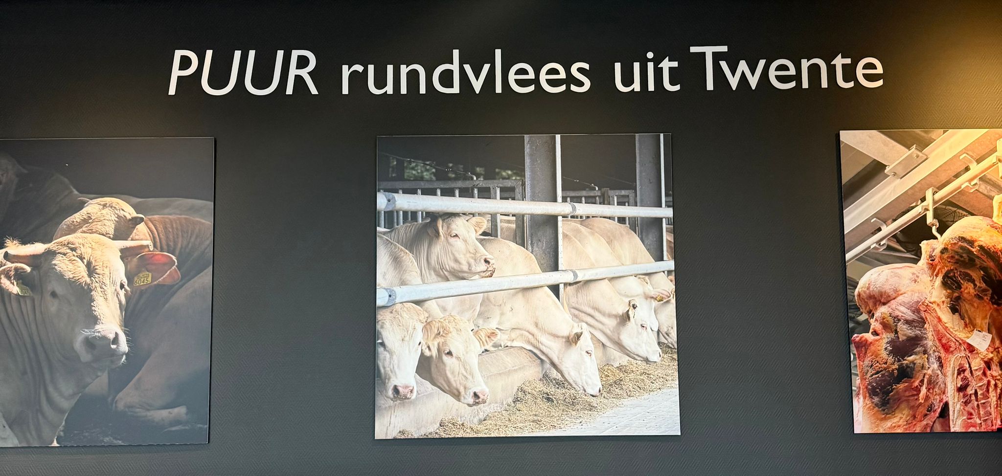 Werkbezoek aan Vleesvee-integratie Twente